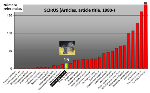 Galemys pyrenaicus desman de los pirineos Pyrenees conocimiento 500