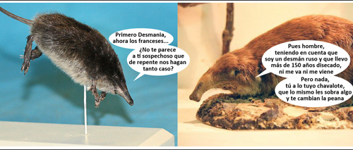 Dos desmanes suspicaces_500