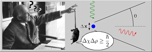 El desmán de Heisenberg_ 2