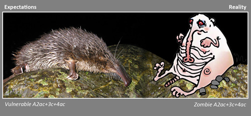 Galemys zombie_def_500