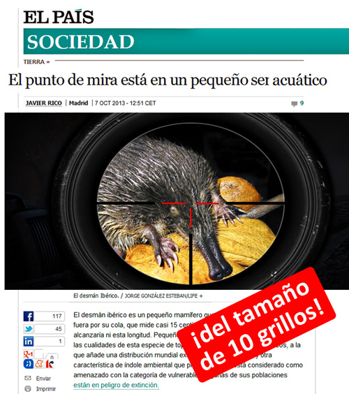 El desmán es ahora pequeño_r