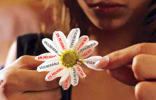 margaritas desmaneras