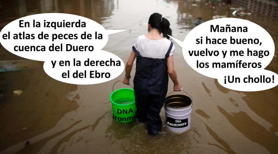 A girl carries two buckets of clean water to her house through a flooded area in Moshan village