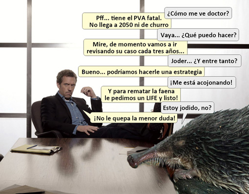 HOUSE -- Pictured: Hugh Laurie as Dr. Gregory House -- NBC Photo: Art Streiber