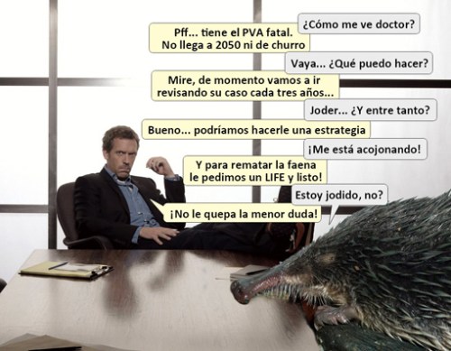 HOUSE -- Pictured: Hugh Laurie as Dr. Gregory House -- NBC Photo: Art Streiber