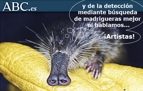 artículo Desmán ABC detalle